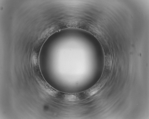 X0000088400287200705221130