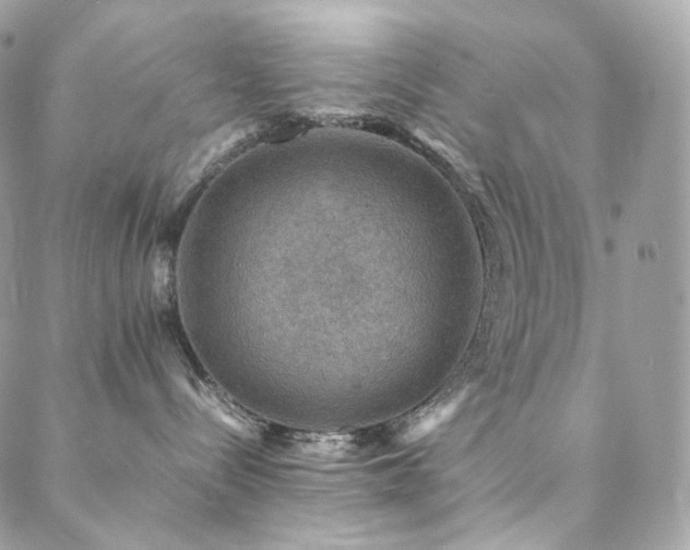 X0000088400288200705221130