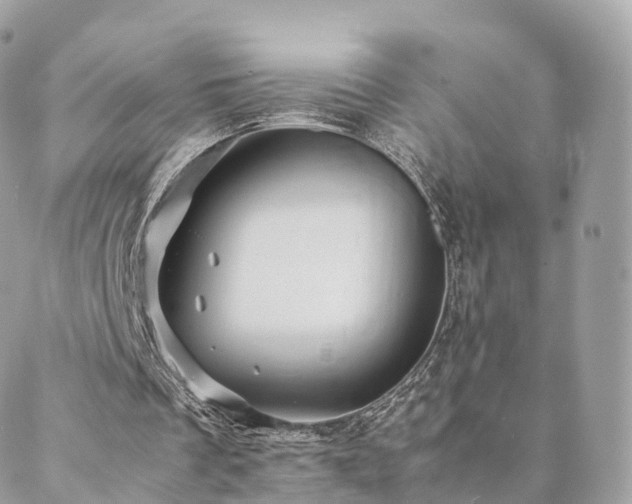 X0000088400289200705221130