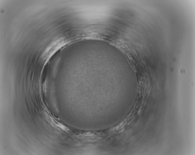 X0000088400290200705221130