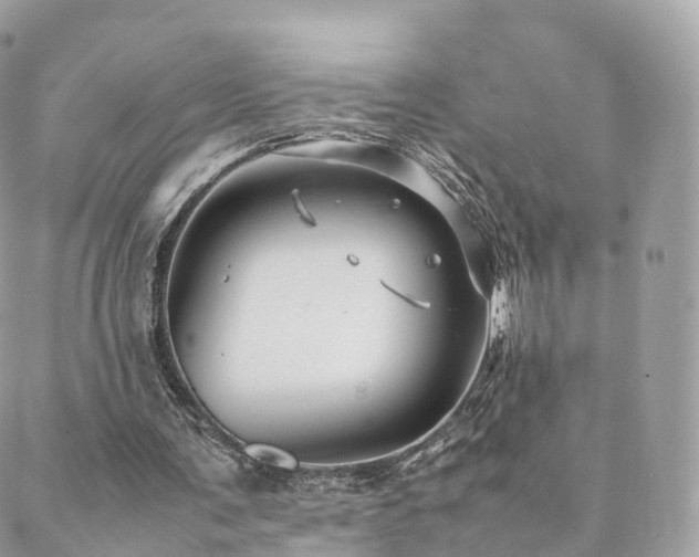 X0000088400291200705221130