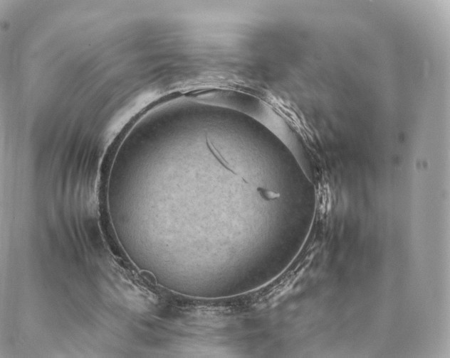 X0000088400292200705221130