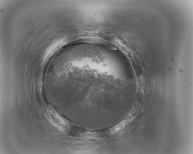 X0000088400293200705221130