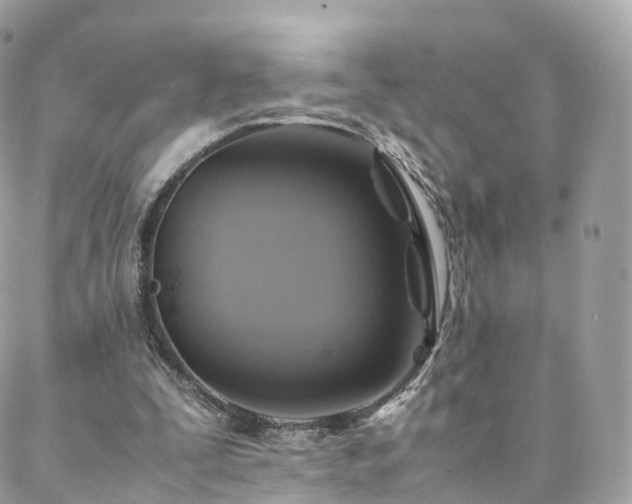 X0000088400295200705221130