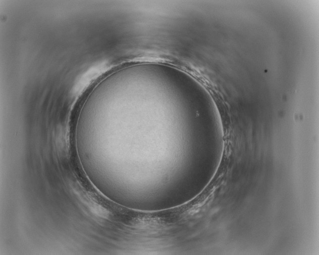 X0000088400296200705221129