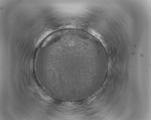 X0000088400297200705221129