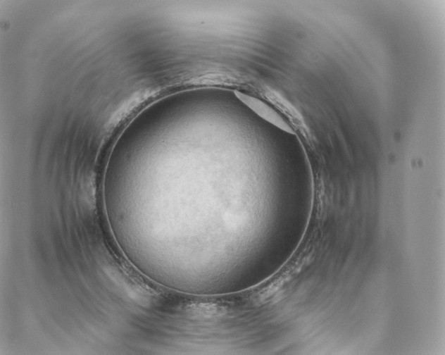 X0000088400298200705221129