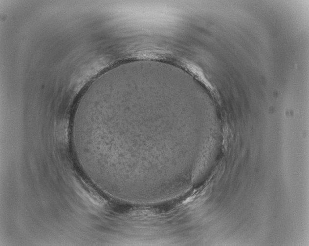 X0000088400299200705221129