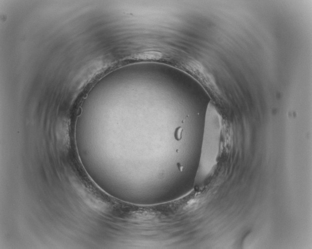 X0000088400300200705221129