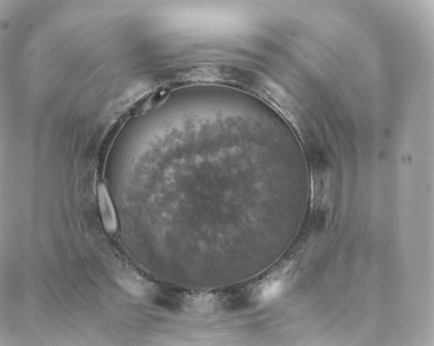 X0000088400301200705221129