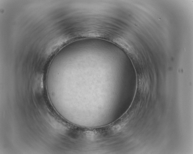 X0000088400302200705221129