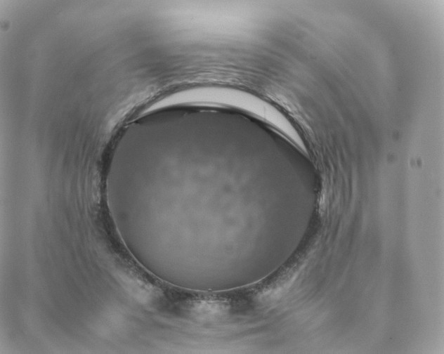 X0000088400303200705221129