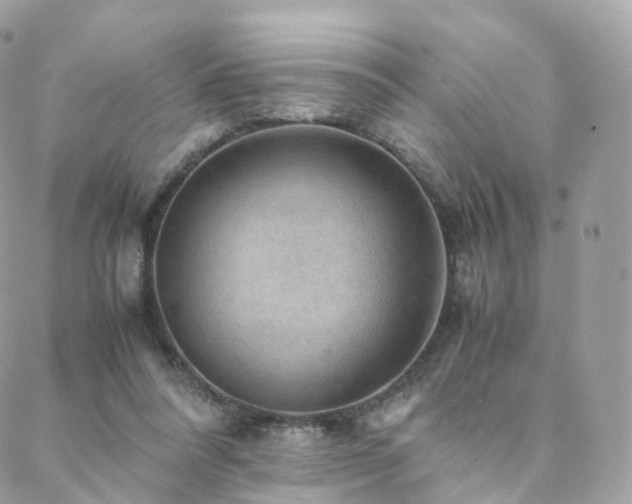 X0000088400304200705221129