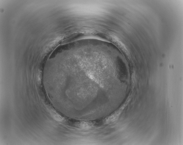 X0000088400305200705221129