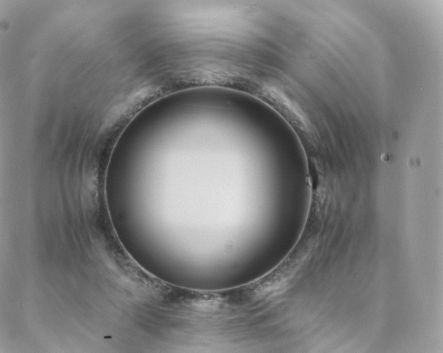 X0000088400306200705221129