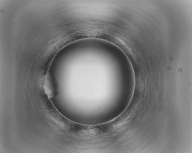 X0000088400307200705221129