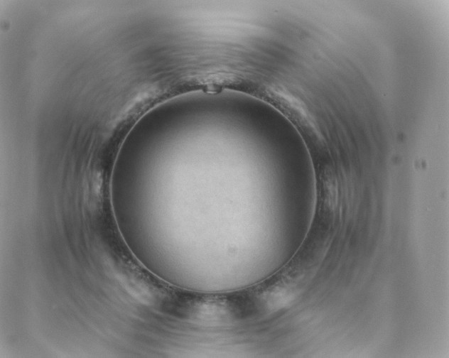 X0000088400308200705221129