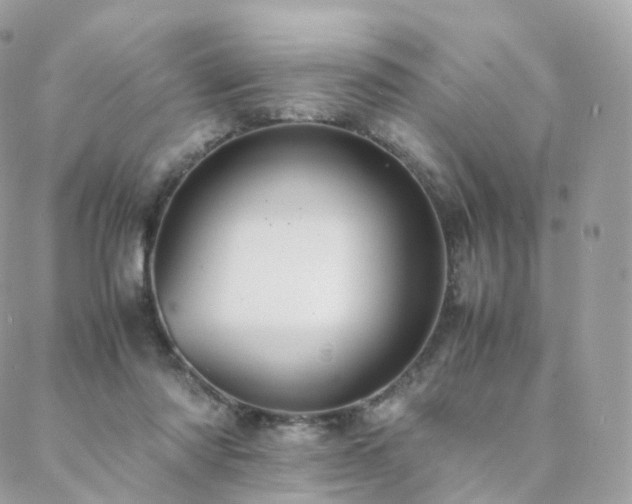 X0000088400310200705221129