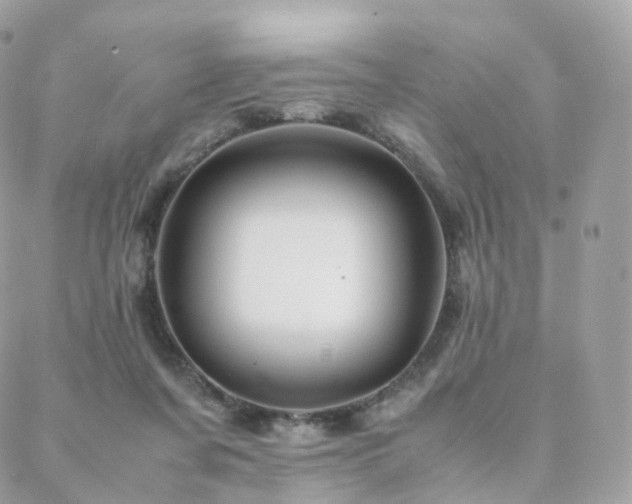 X0000088400311200705221129