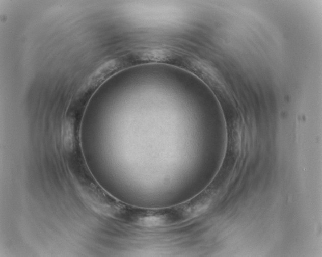 X0000088400312200705221129