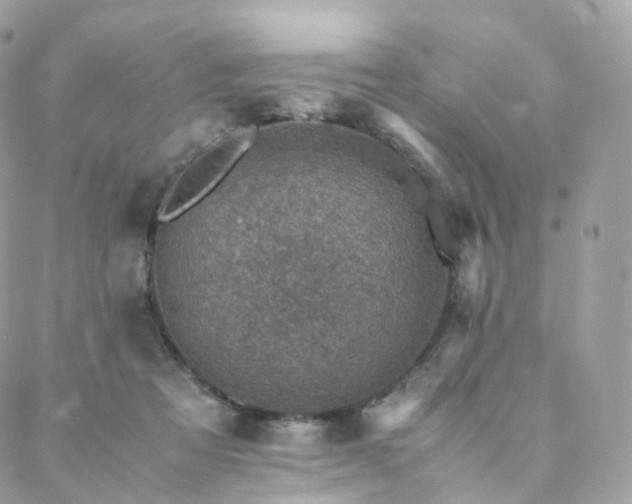 X0000088400313200705221129