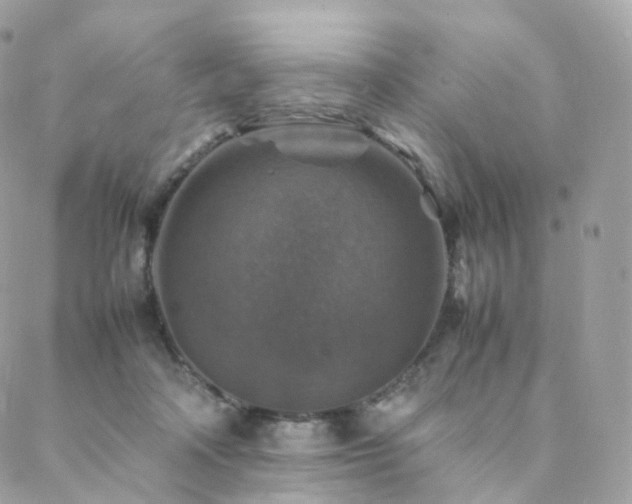 X0000088400314200705221129