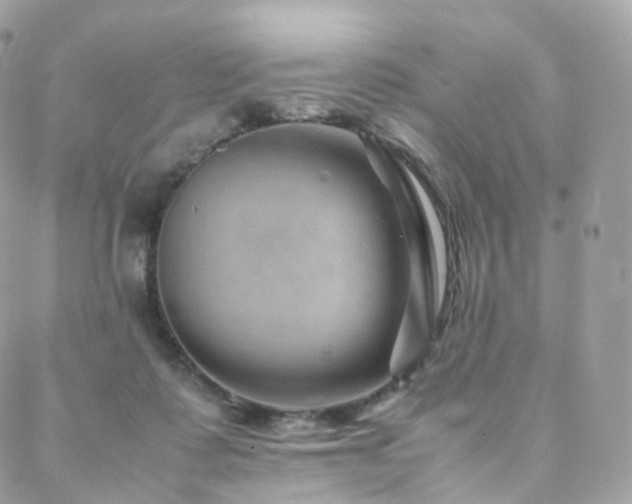 X0000088400315200705221129