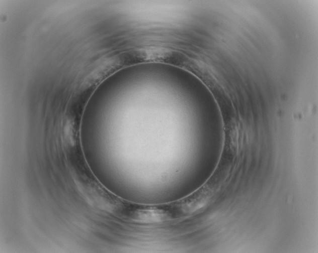 X0000088400316200705221129