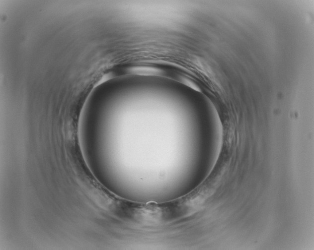 X0000088400317200705221129