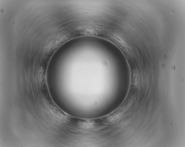 X0000088400318200705221129