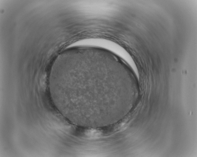 X0000088400319200705221129