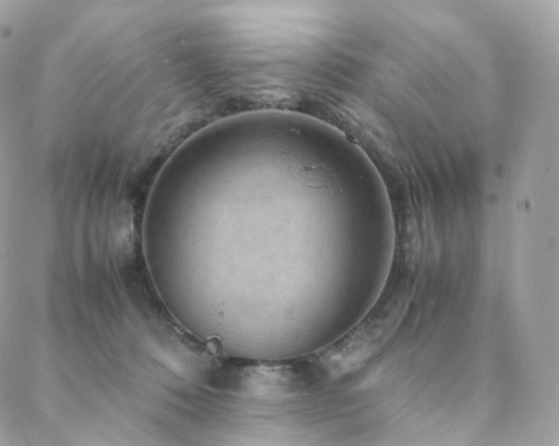 X0000088400320200705221129