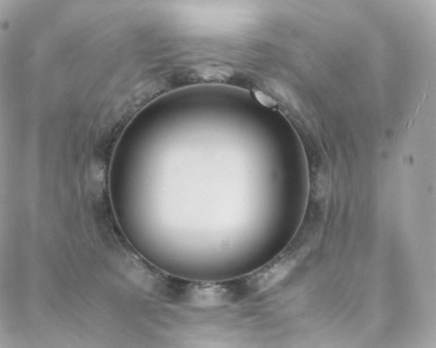 X0000088400321200705221129