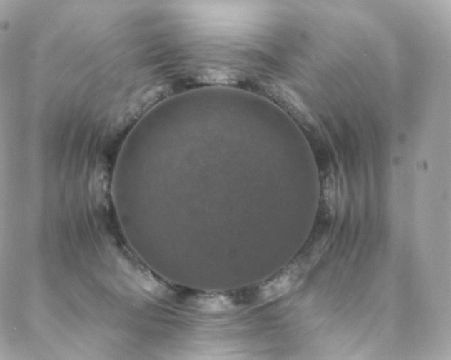 X0000088400322200705221129