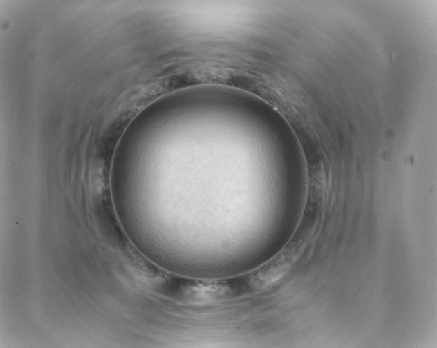 X0000088400323200705221129