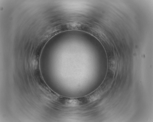 X0000088400324200705221129