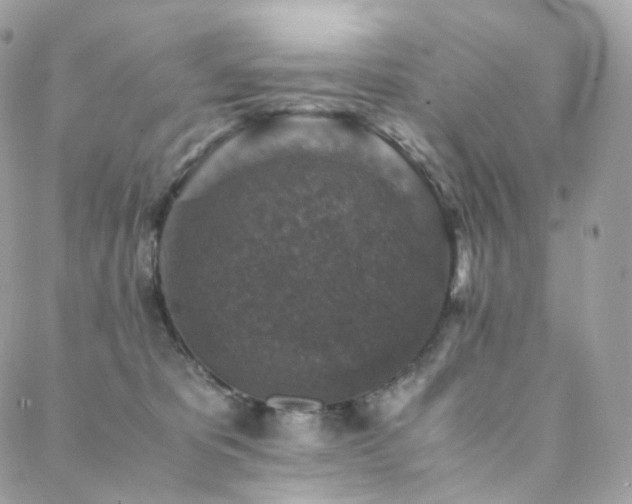 X0000088400325200705221129