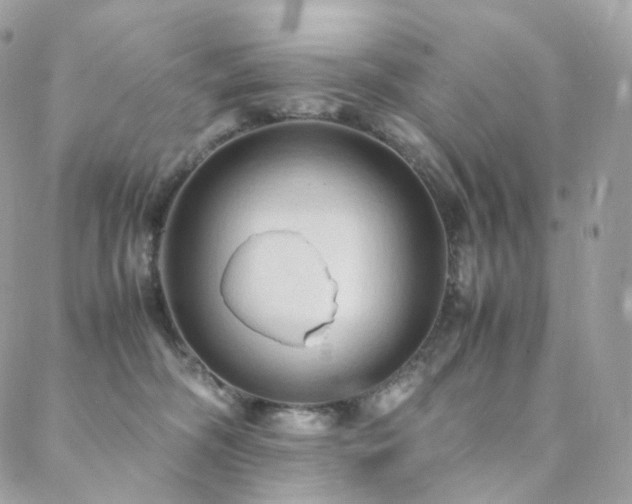 X0000088400326200705221129