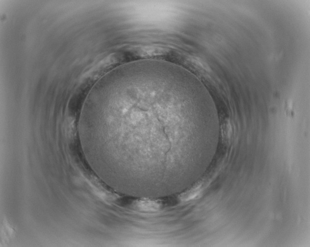 X0000088400327200705221129