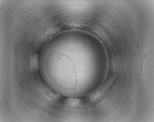 X0000088400328200705221129