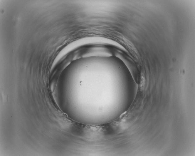 X0000088400329200705221129