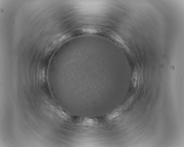 X0000088400330200705221129