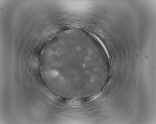 X0000088400331200705221129