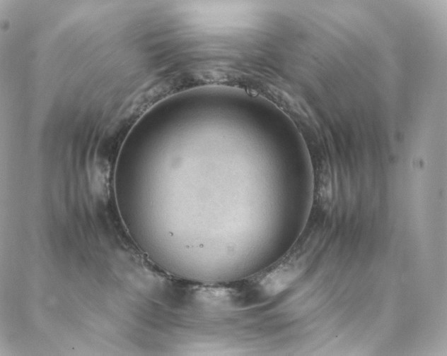 X0000088400332200705221129