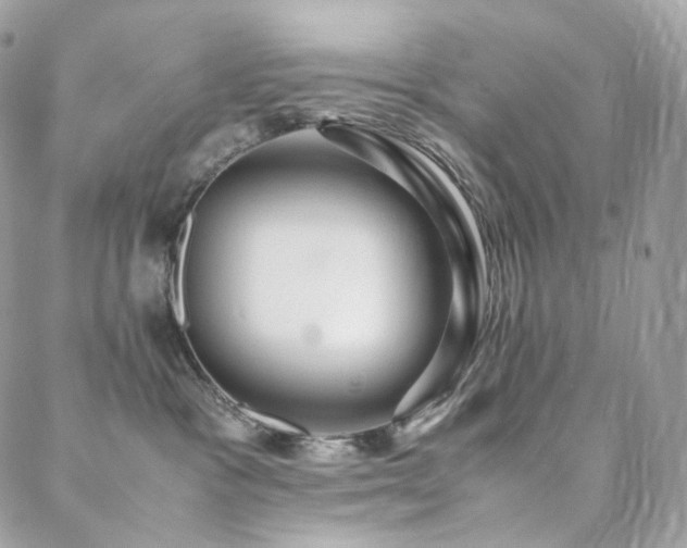 X0000088400333200705221129