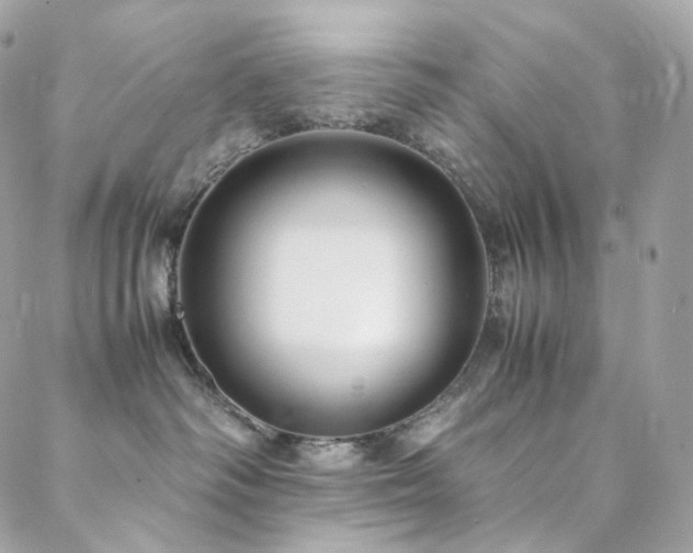 X0000088400334200705221129