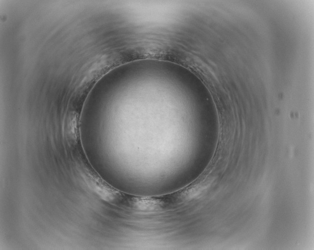 X0000088400336200705221129