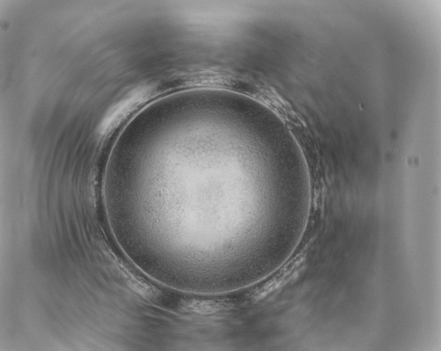 X0000088400341200705221128