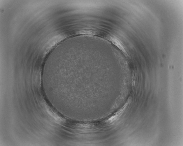 X0000088400349200705221128