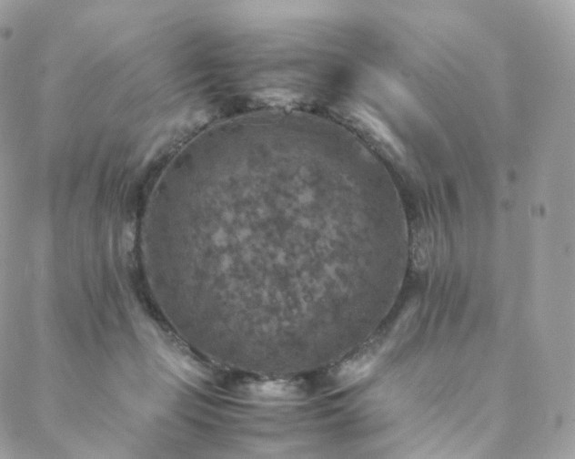 X0000088400365200705221129